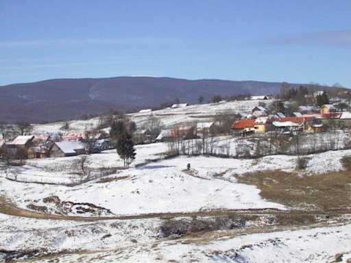 Weidenthal