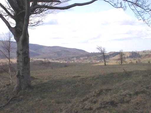 Wolfsberg aus der Ferne