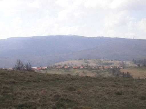 Wolfsberg