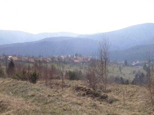 Wolfsberg
